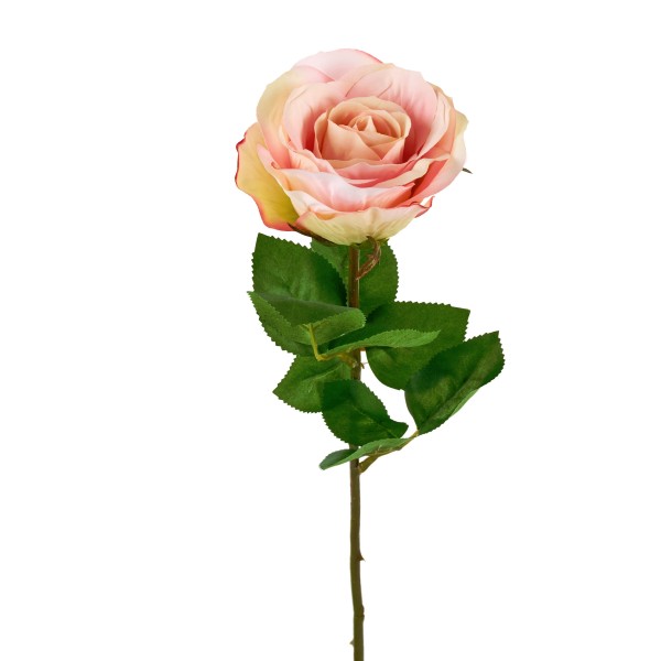 Rose L56cm