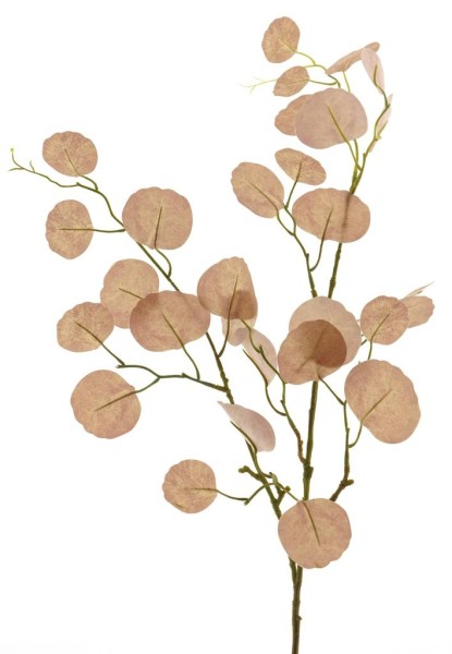 Apfel Leaf Zweig L110cm
