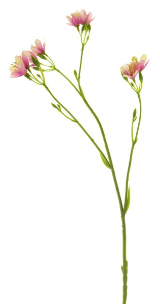 Blossom Zweig L62cm