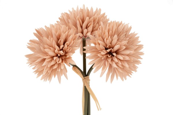 Chrysanteme Bund x3 L20cm