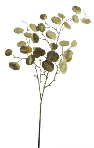 Eucalyptus Zweig L107cm
