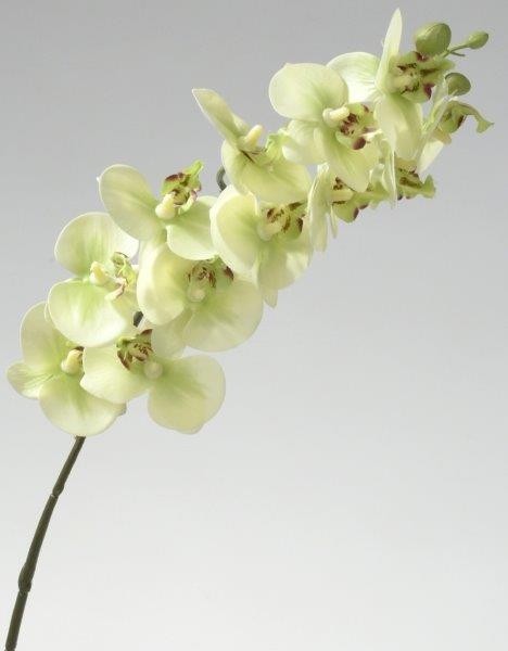 Orchideenzweig L58cm