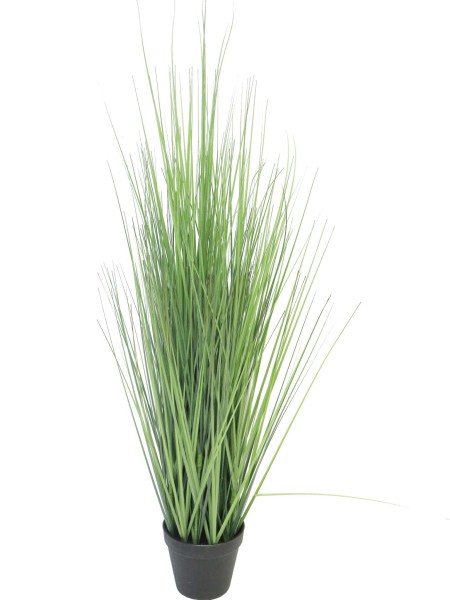 Festuca Grass H115cm