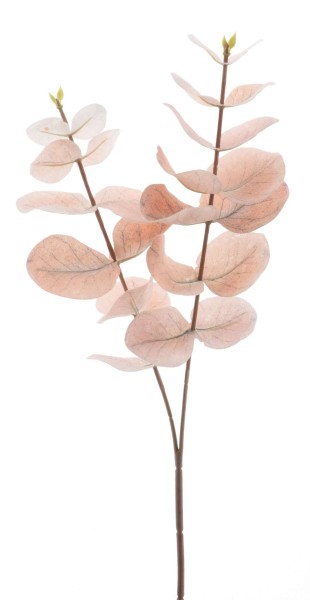 Eukalyptus Zweig L36cm