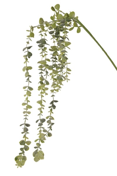 Eukalyptus Zweig hängend L122cm