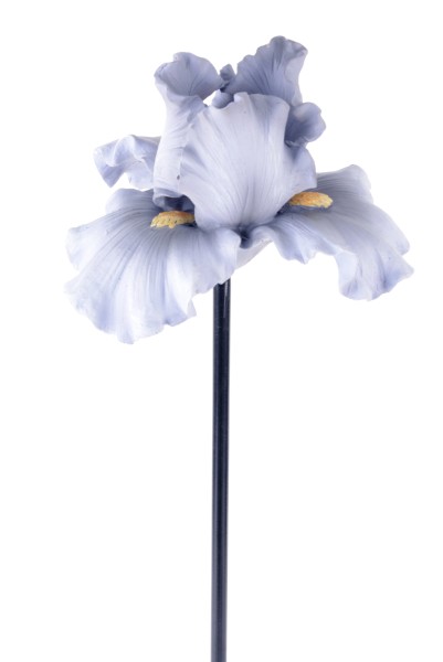 Stecker Blüte Iris Polyresin D16xH10/St.80cm