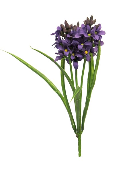 Hyacinth Elly 31cm