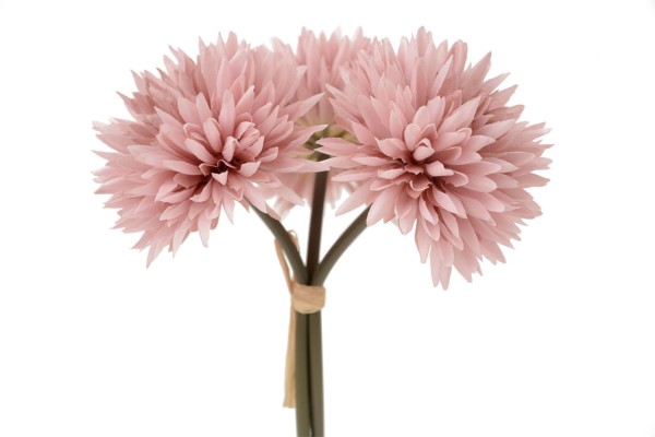 Chrysanteme Bund x3 L20cm