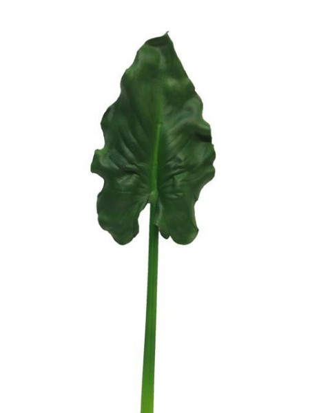 Anthurium Blatt Ereac 60cm
