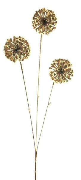 Allium Zweig L55cm