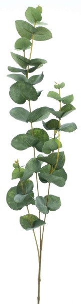 Eukalyptus Zweig L86cm