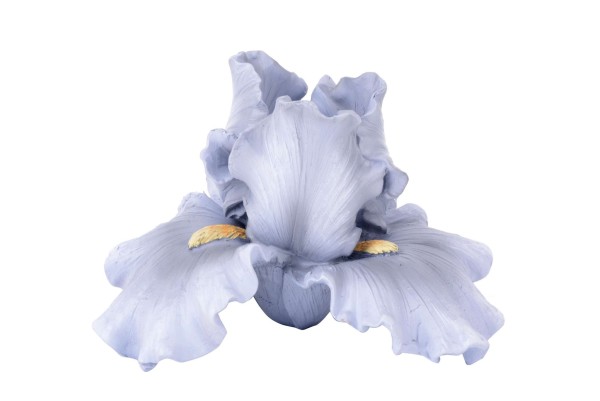 Blüte Iris Polyresin 16x15,5xH10cm