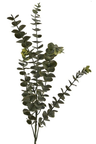 Eukalyptus Zweig x5 L88cm
