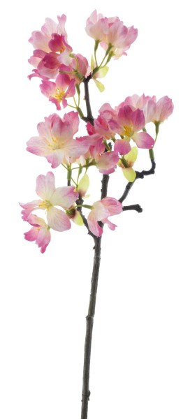 Blütenzweig Busan L40cm