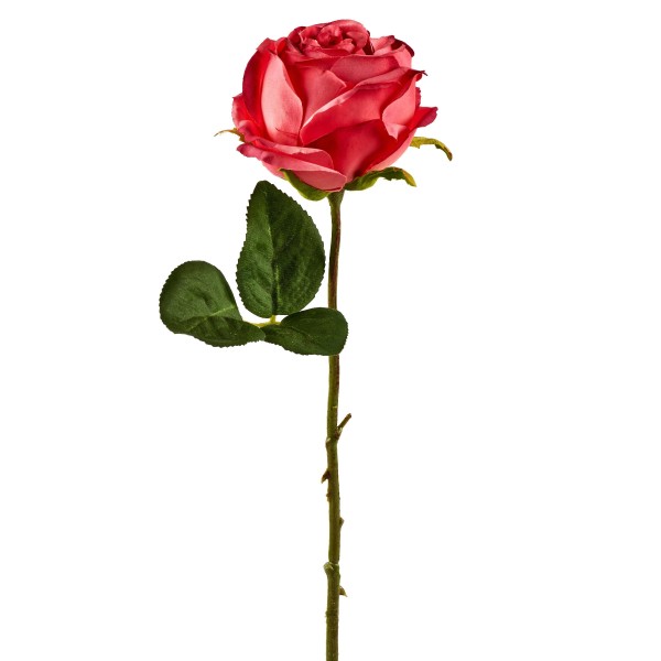 Rose 46cm