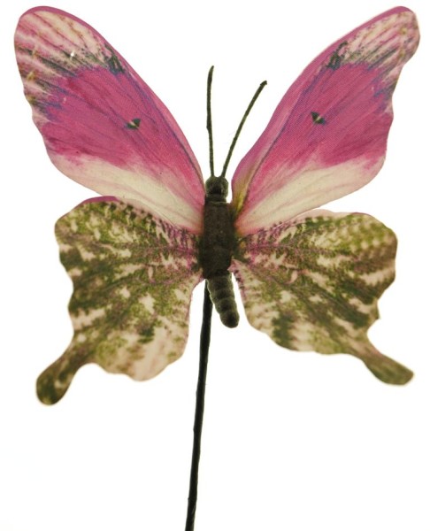 Schmetterling Amazon am Pick 20cm