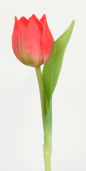 Tulpe Mini "Real Touch" L19cm