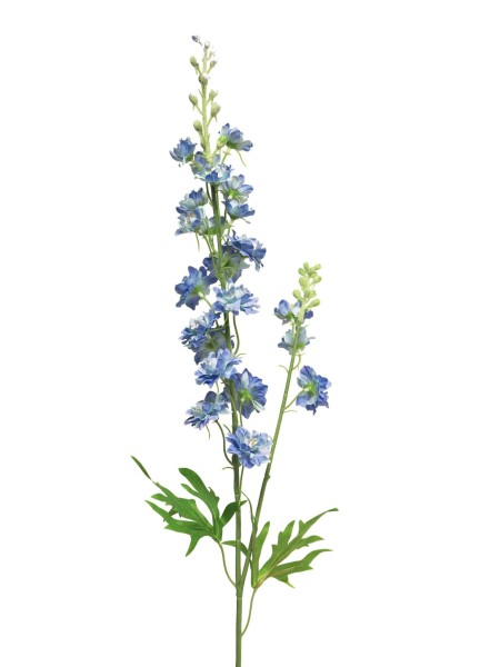 Delphinium Agathe 85cm
