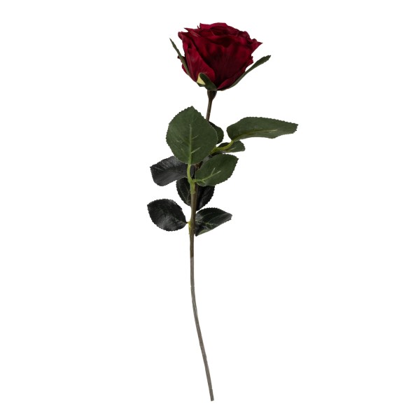 Rose gefüllt Madame 37 cm