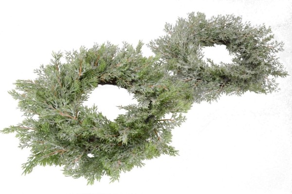 Juniperus Kranz - D35cm