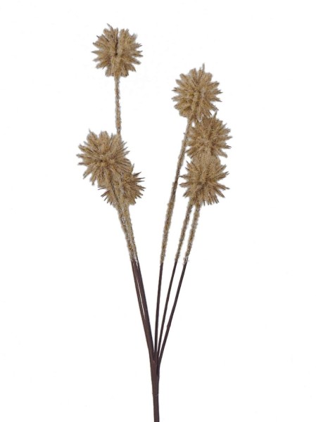 Allium Zweig L63cm