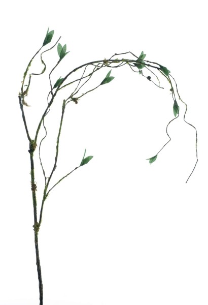 Zweig gedrahtet m. Blätter L108cm