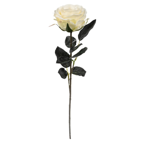 Rose gefüllt Madame 37cm