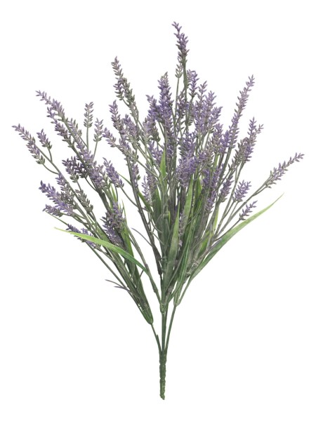 Lavendel Busch x5 41cm