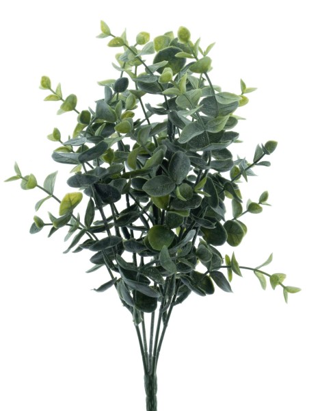 Eucalyptus Busch L32cm