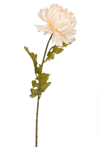 Chrysantheme L66cm
